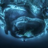 Tobias Friedrich/Siena International Photo Awards