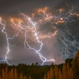 Francisco Negroni/Siena International Photo Awards