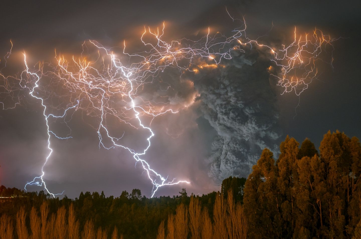 Francisco Negroni/Siena International Photo Awards
