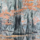 Mauro Battistelli/Siena International Photo Awards