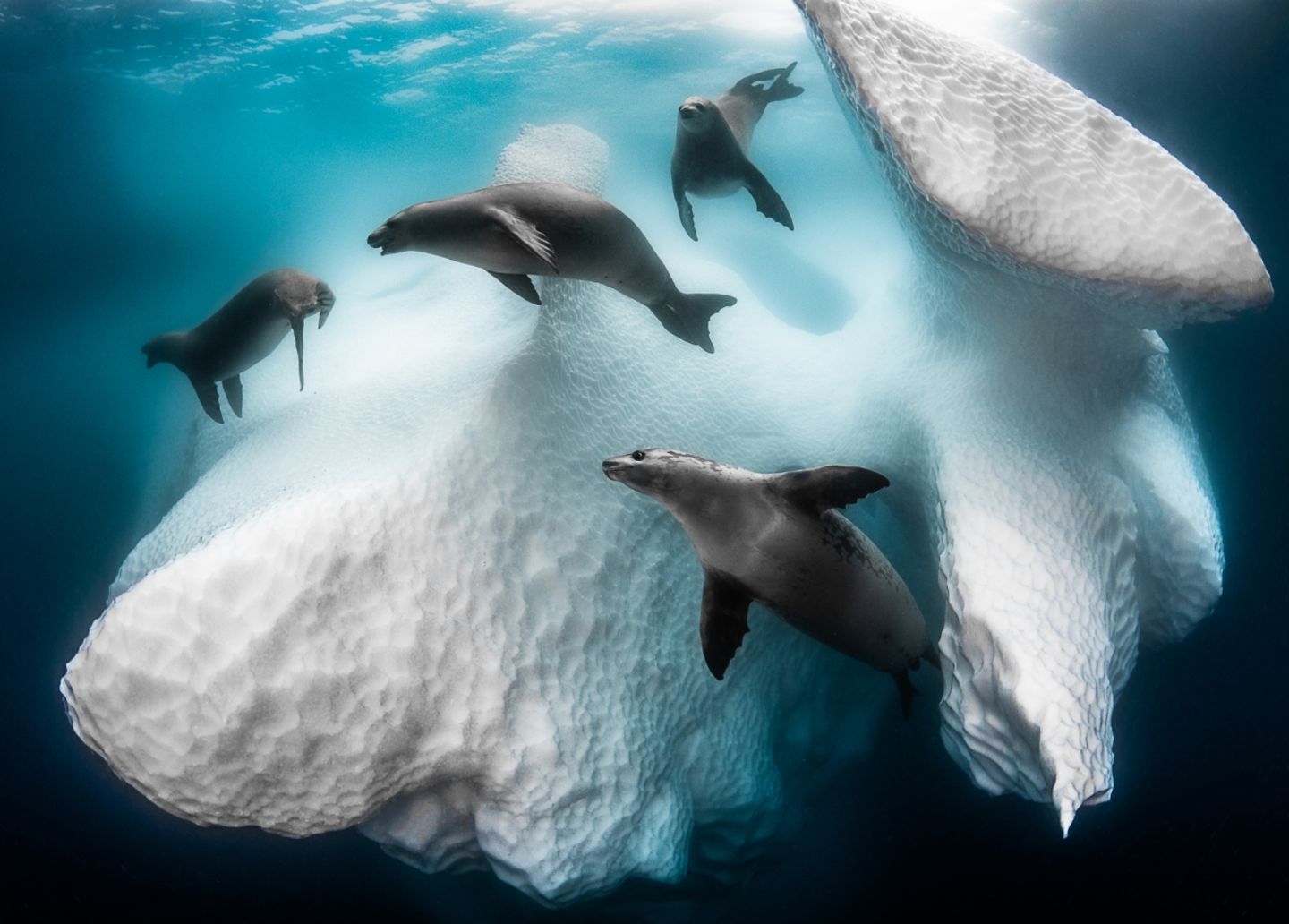 /Siena International Photo Awards