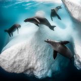 /Siena International Photo Awards