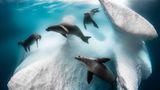/Siena International Photo Awards