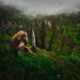 Riccardo Marchegiani/Siena International Photo Awards