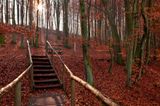 Wandern auf dem Hochuferweg