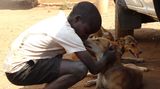Tollwut: Gefahr für Hund und Mensch - Bild 3