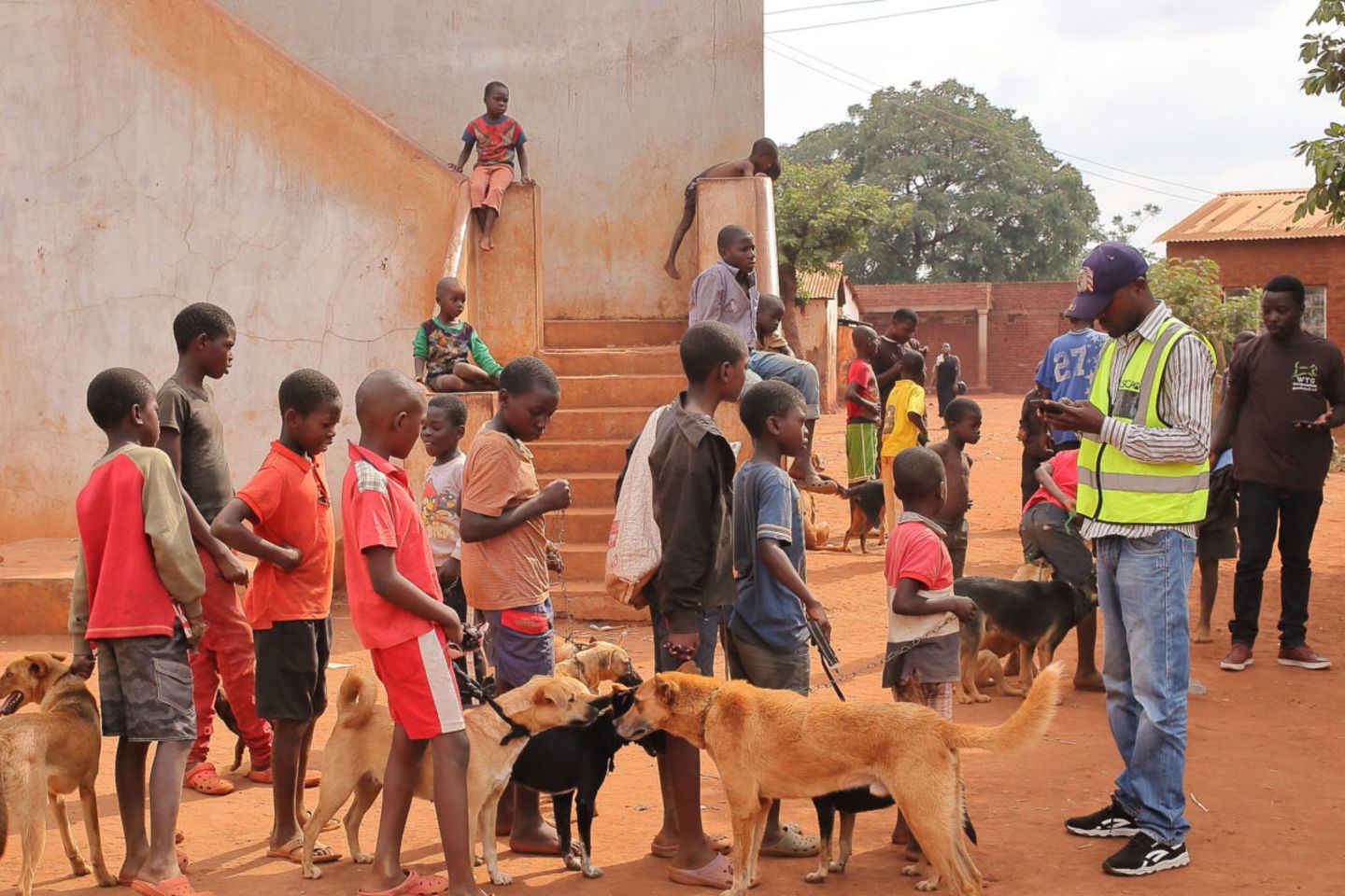 Tollwut: Gefahr für Hund und Mensch - Bild 6 Tollwut: Gefahr für Hund und Mensch - Bild 6