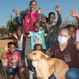 Tollwut: Gefahr für Hund und Mensch - Bild 9