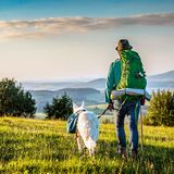 Abenteuer Grünes Band