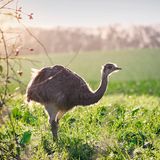 Zeitreise: Das Grüne Band - Ein außergewöhnliches Stück Deutschland - Bild 8