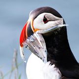 GEO LESERFOTO: Die besten Leserfotos: Oktober 2020 - Bild 2