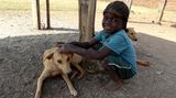 Tollwut: Gefahr für Hund und Mensch - Bild 10