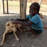 Tollwut: Gefahr für Hund und Mensch - Bild 10