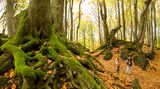 Rheinland-Pfalz, Eifelsteig