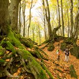 Rheinland-Pfalz, Eifelsteig