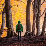 Mecklenburg Vorpommern, Rügen