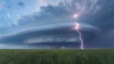 Laura Hedien/2020 National Wildlife® Photo Contest