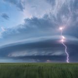 Laura Hedien/2020 National Wildlife® Photo Contest