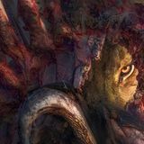 Panos Laskarakis/2020 National Wildlife® Photo Contest