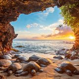 Leighton Lum//2020 National Wildlife® Photo Contest