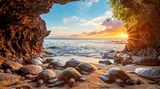 Leighton Lum//2020 National Wildlife® Photo Contest
