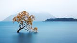 Wanaka, Neuseeland