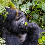 GEO LESERFOTO: Die besten Leserfotos: November 2020 - Bild 13