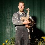 exotische Nutztiere in Deutschland