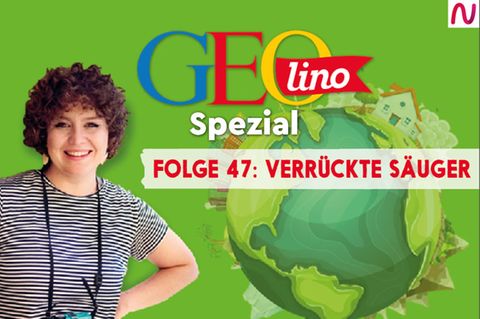 GEOlino Spezial - der Wissenspodcast: Folge 47: Verrückte Säuger