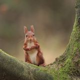 GEO LESERFOTO: Die besten Leserfotos: November 2020 - Bild 10