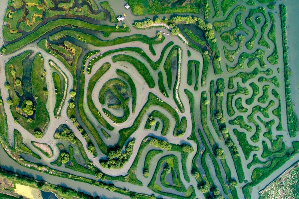 Das Wasser-Labyrinth auf dem Dazhong-See