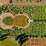 Das Ananas-Labyrinth auf Hawaii