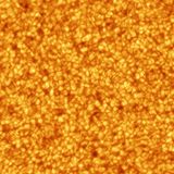 Astronomy Photographer of the Year