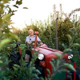 Obstbauer im Alten Land