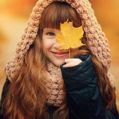 Tipps: Im Herbst färben Laubbäume ihre Blätter gelb und rot, bis sie diese schließlich abwerfen.