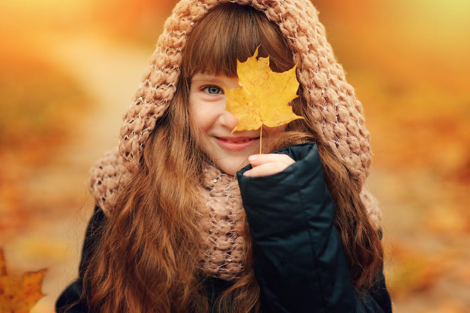 Tipps: Im Herbst färben Laubbäume ihre Blätter gelb und rot, bis sie diese schließlich abwerfen.