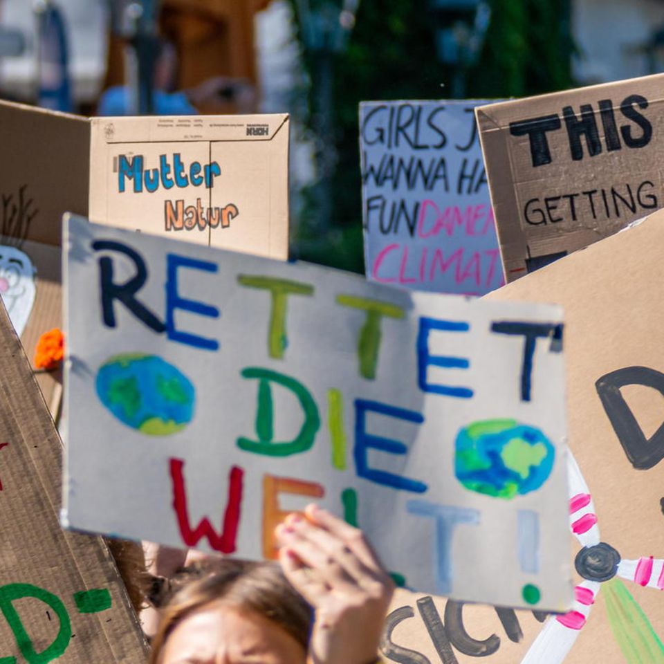 Wie wir die Welt retten