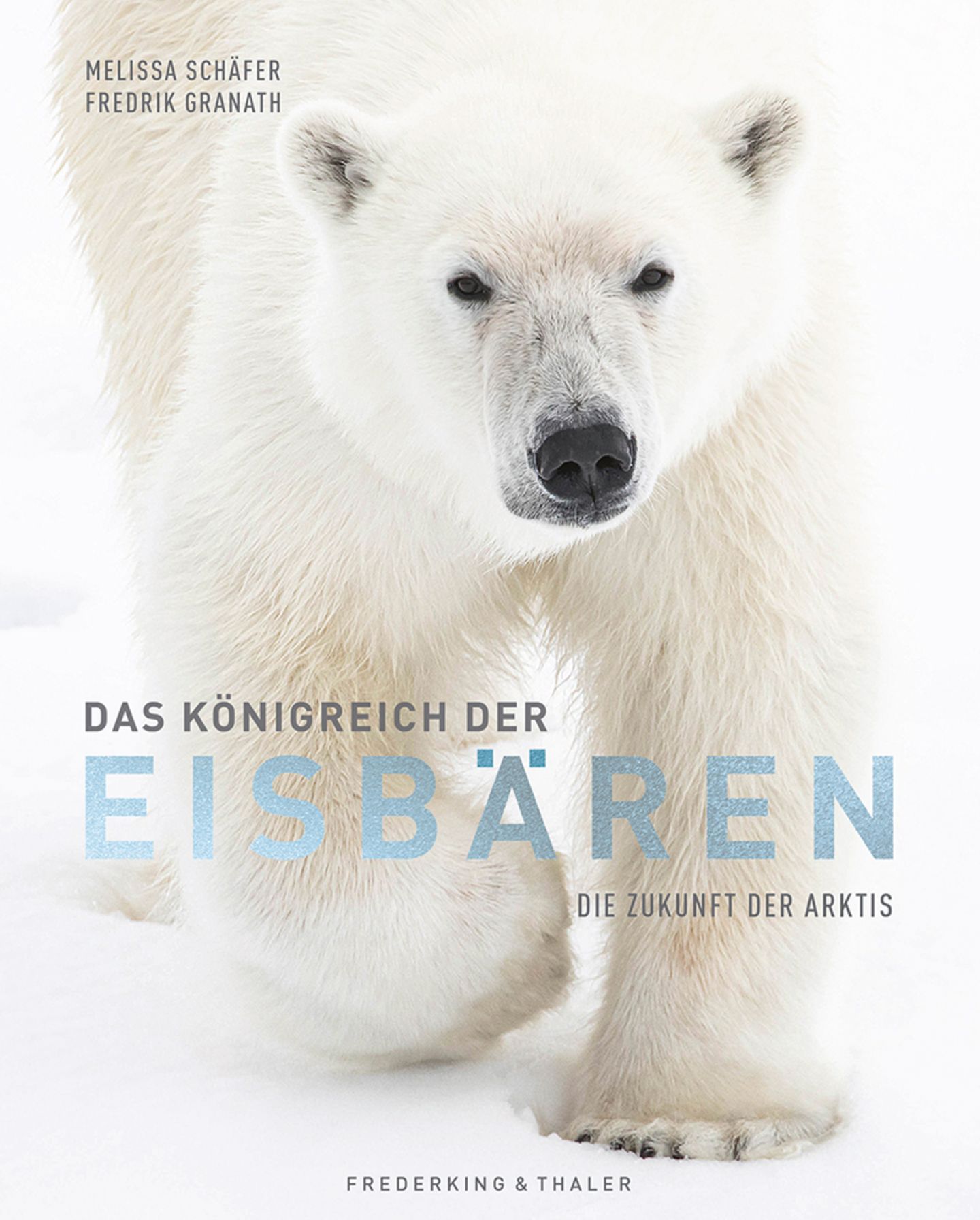 Tierfotografie: Faszinierende Bilder aus dem bedrohten Reich der Eisbären - Bild 11 Das Königreich der Eisbären
