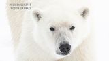 Das Königreich der Eisbären