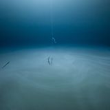 Jason Gulley/THE OCEAN PHOTOGRAPHER OF THE YEAR