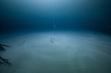 Jason Gulley/THE OCEAN PHOTOGRAPHER OF THE YEAR