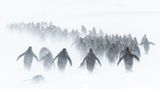 Fotowettbewerb: Preisgekrönte Ozean-Fotografie - die besten Bilder des Jahres - Bild 9