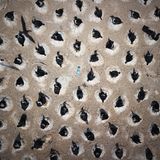 Fotowettbewerb: Preisgekrönte Ozean-Fotografie - die besten Bilder des Jahres - Bild 10