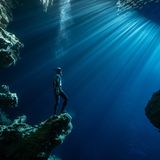 Fotowettbewerb: Preisgekrönte Ozean-Fotografie - die besten Bilder des Jahres - Bild 12