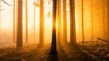 GEO LESERFOTO: Die besten Leserfotos: November 2020 - Bild 2