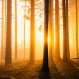 GEO LESERFOTO: Die besten Leserfotos: November 2020 - Bild 2