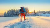 Schneeschuhwandern im Winter