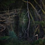 Roberto Marchegiani/Nature Photographer of the Year