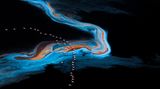 Jie Fischer/Nature Photographer of the Year