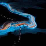 Jie Fischer/Nature Photographer of the Year